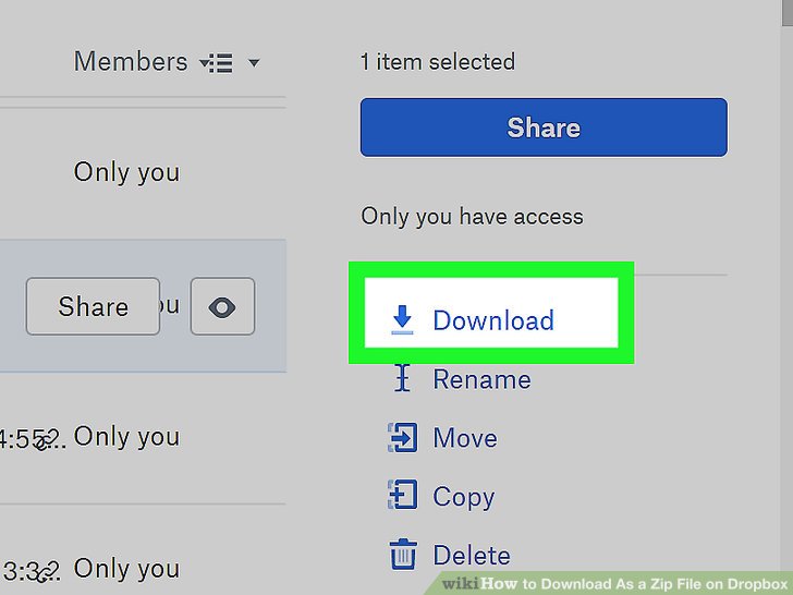 see downloads on dropbox